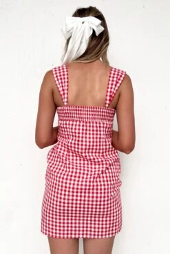 Axton Mini Dress Red Gingham 11 Axton Mini Dress Red Gingham -Jean Jail Shop Axton Mini Dress Red Gingham bbjpg
