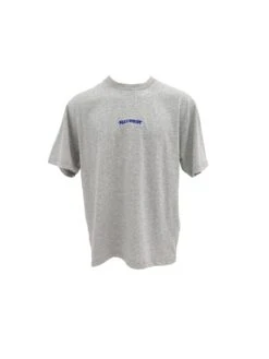 Pennant Embro Oversize Fit Tee Snow Marle