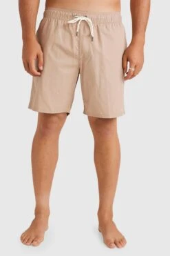 RVCA Opposites Elastic 2 Short Warm Taupe