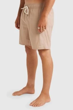 RVCA Opposites Elastic 2 Short Warm Taupe -Jean Jail Shop Opposites Elastic 2 Short Warm Taupe sjpg