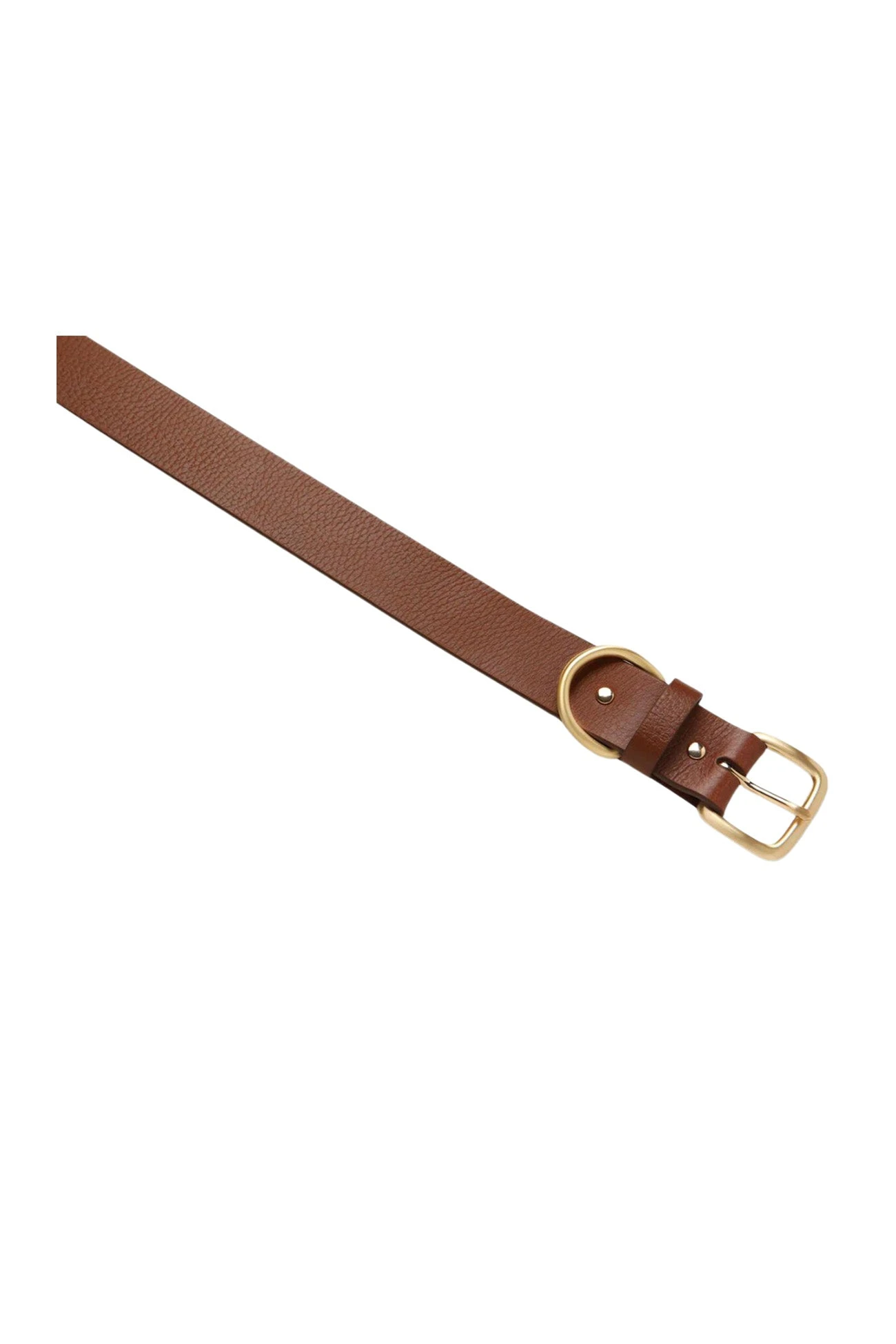 Disarm Belt Tan Gold 3 Disarm Belt Tan Gold - Image 3